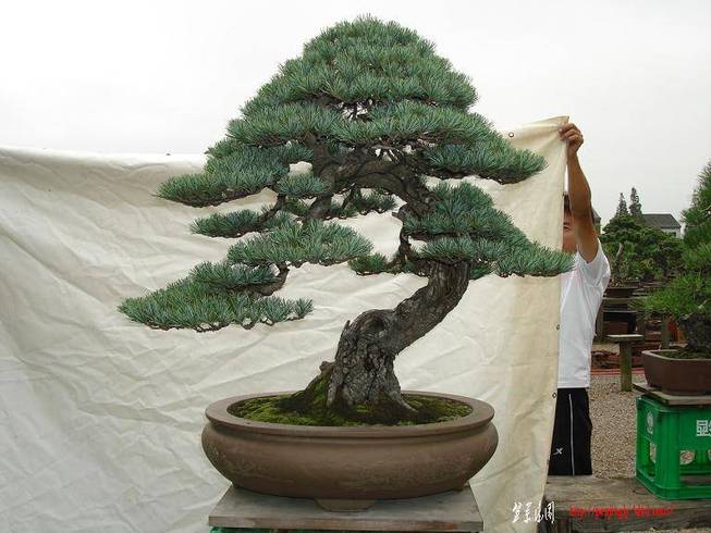 0909182105386b5654ce139157[1].jpg