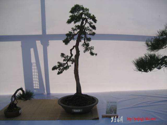 234950fscf901j2jq2gy1h.jpg