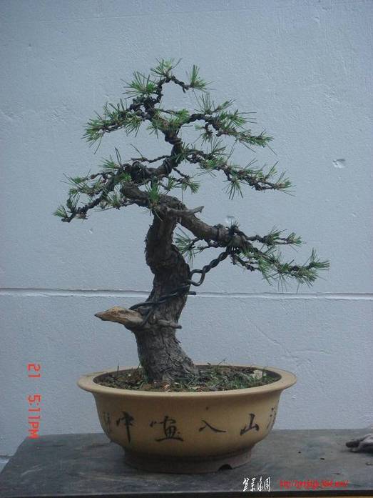 DSC00030.jpg