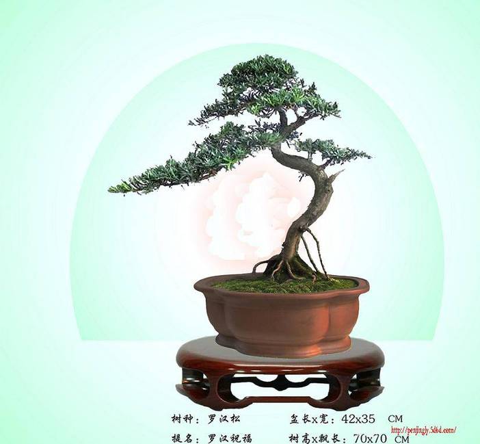޺1.jpg