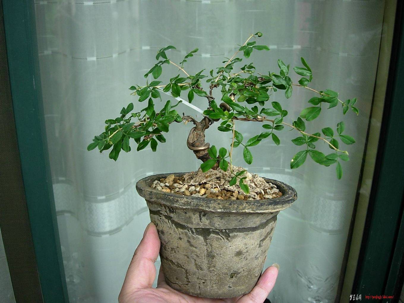 DSCN5764.JPG