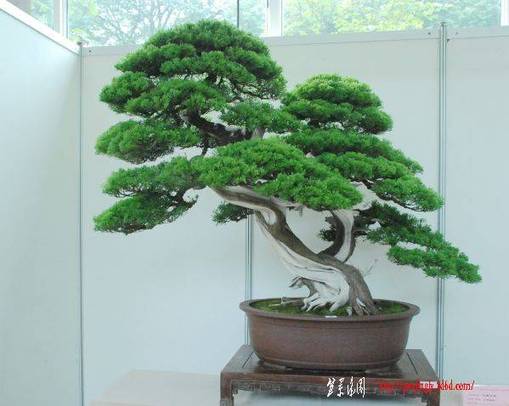 3753345_489108220[1].jpg