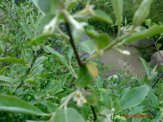 20110524053-С.jpg