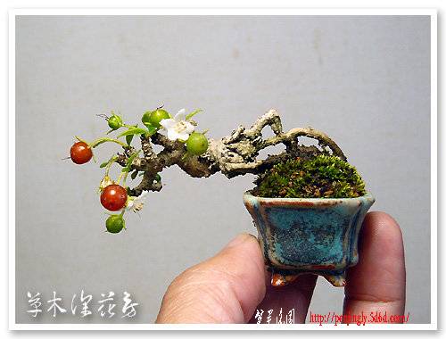 abbr_8d9f8db8afe92e7e01a8db7fc31af371.jpg