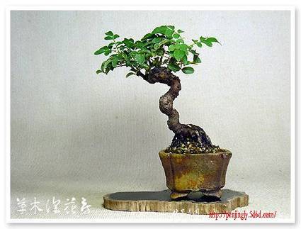 abbr_5e0b91ba70d44b7dfaeb834a27da0eac.jpg