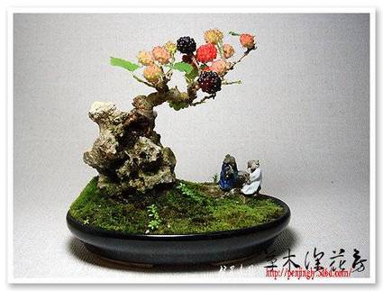 abbr_13d08a0ed031358556d6e0733a4fb351.jpg