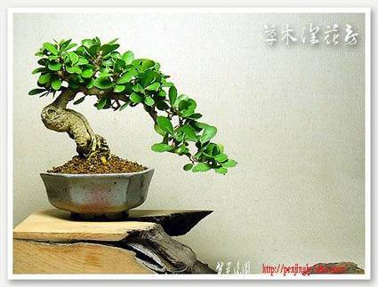 abbr_95994a408e82891acebab98e2a9cc387.jpg