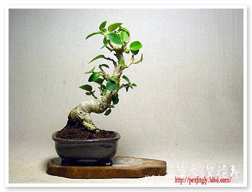 abbr_b855123f2200152c52ef16be3b4b4633.jpg