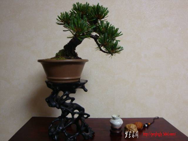 DSC05041.JPG