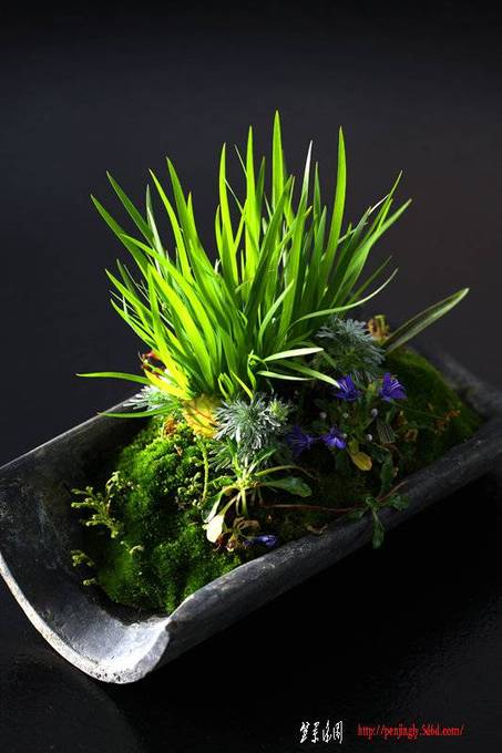 F23_20110208033945130.jpg