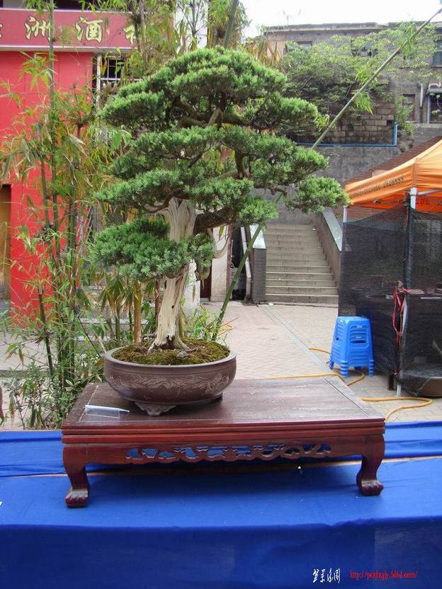 DSC04950(xiao).jpg