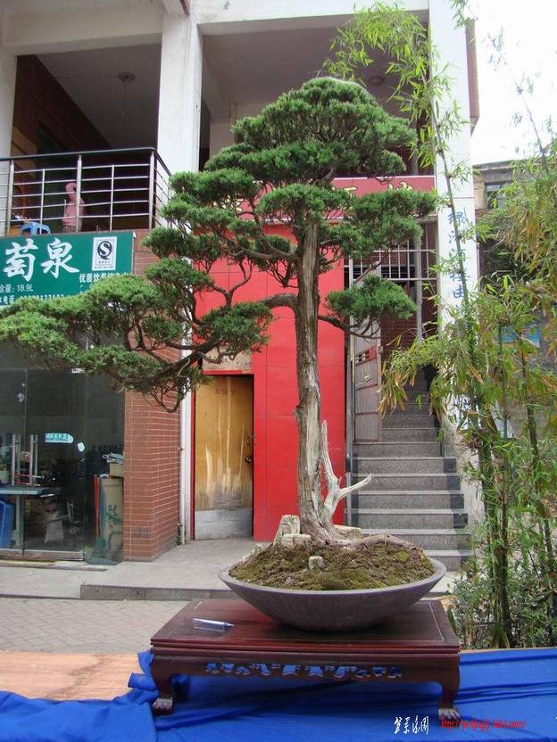 DSC04949(xiao).jpg