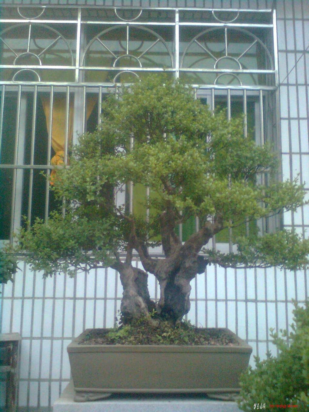 Ƭ 019.jpg