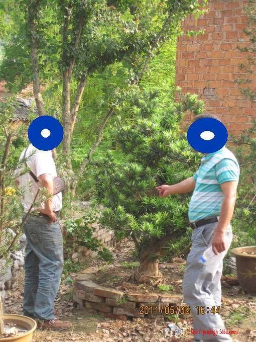 ޺3.jpg