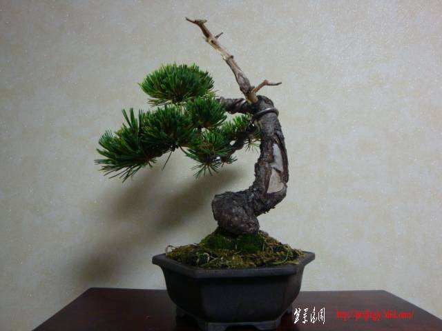 DSC05109.JPG