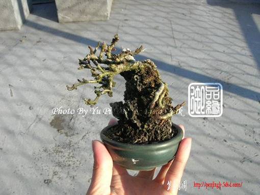 abbr_dd300c871db799b357d7fe1aaeb93982.jpg