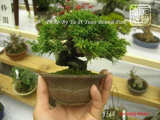 abbr_0d96272211230ef01f3d6fe47d56cc59.jpg