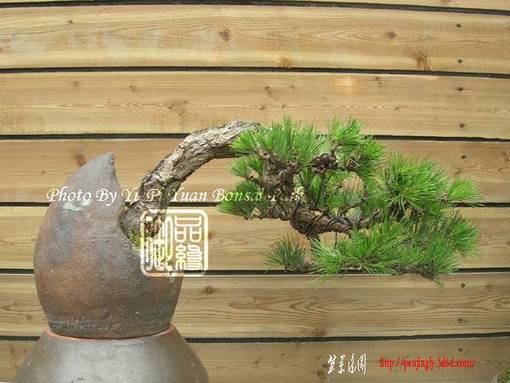 abbr_5c142bbb1bc352b347279d5333c675ed.jpg