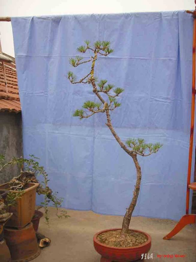 SDC12110.JPG