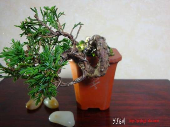 DSC05115.JPG