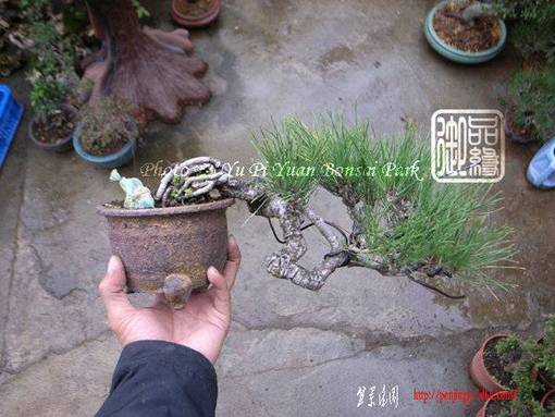 abbr_cb01be7e0f699e536577e09026cab1c7.jpg