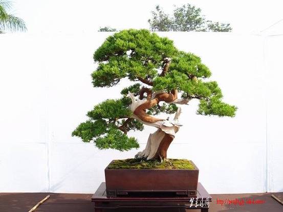 abbr_3d06a12056da4d32d16c66c98e55ca68.jpg