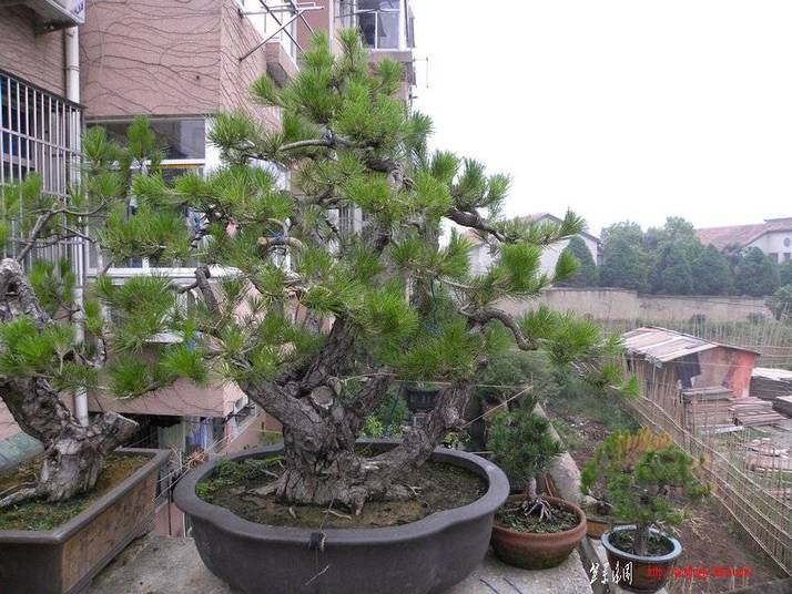 ڻ 004.jpg