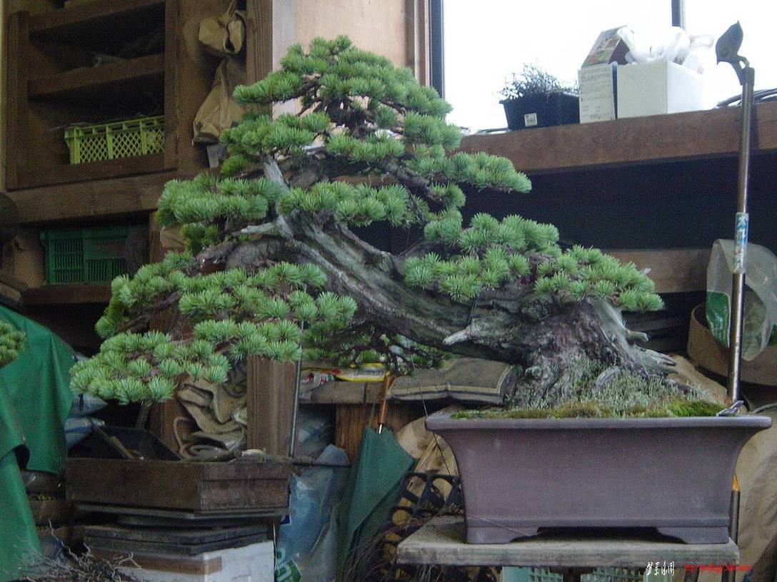 F23_20091205080358629.jpg