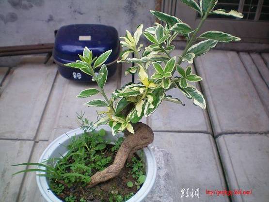 100_0134.JPG