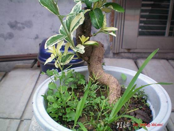 100_0133.JPG