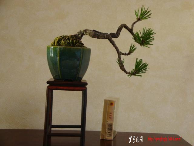 DSC05049.JPG