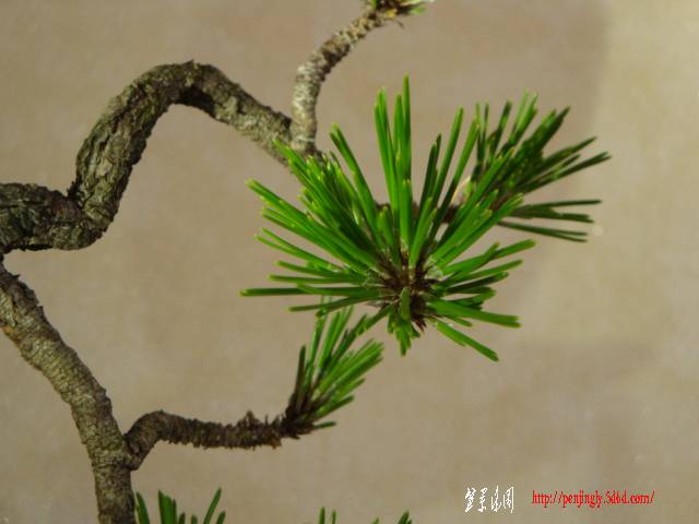 DSC05051.JPG
