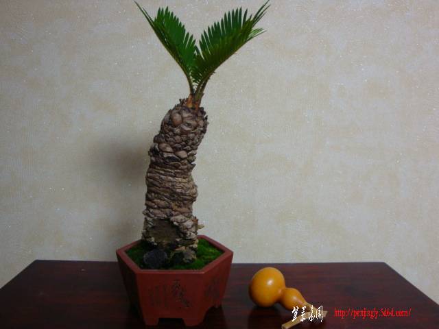 DSC05168.JPG
