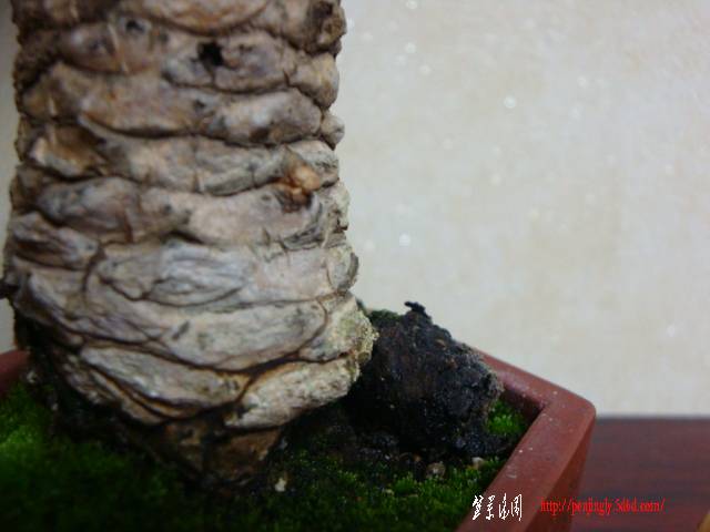 DSC05170.JPG