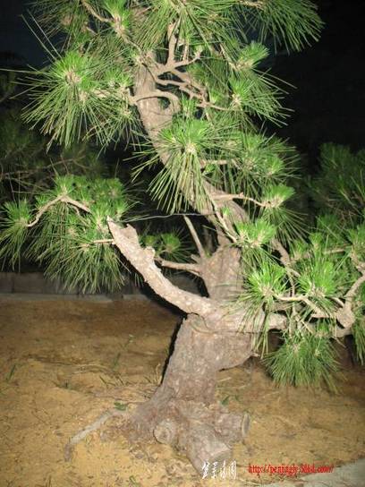 �����辰 070.jpg