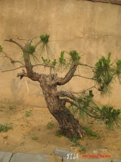 �����辰 045.jpg