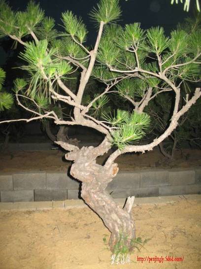 �����辰 071.jpg