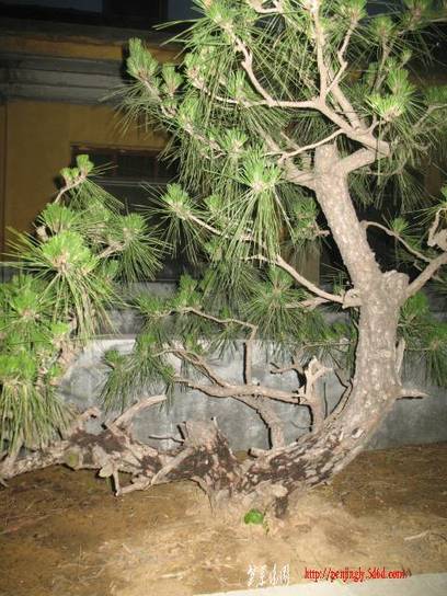 �����辰 072.jpg