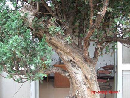 DSCF5608.JPG