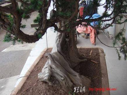 DSCF5615.JPG
