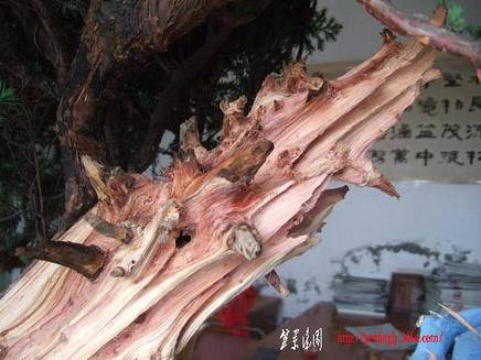 DSCF5630.JPG