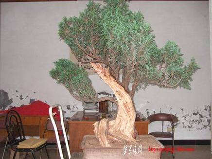DSCF5635.JPG