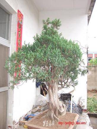DSCF5613.JPG