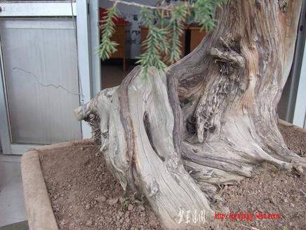 DSCF5609.JPG