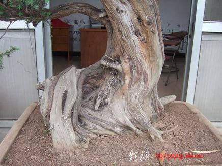 DSCF5607.JPG