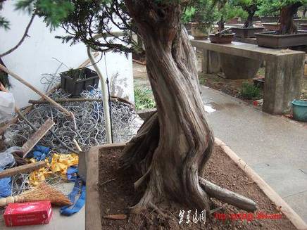 DSCF5614.JPG