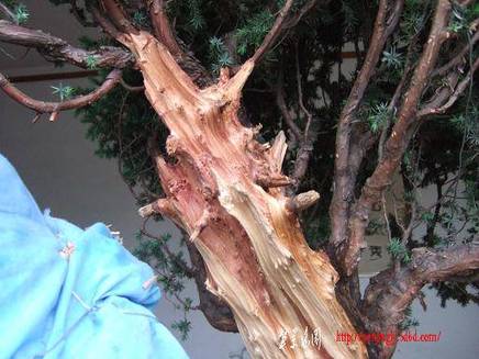 DSCF5633.JPG