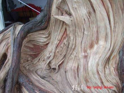 DSCF5639.JPG