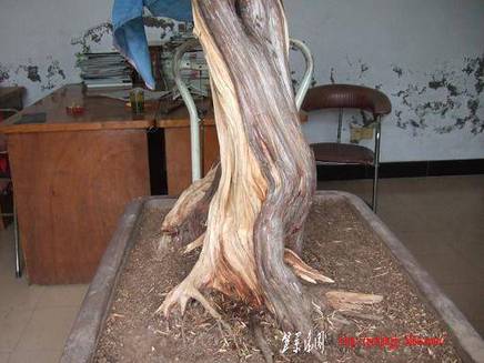 DSCF5626.JPG