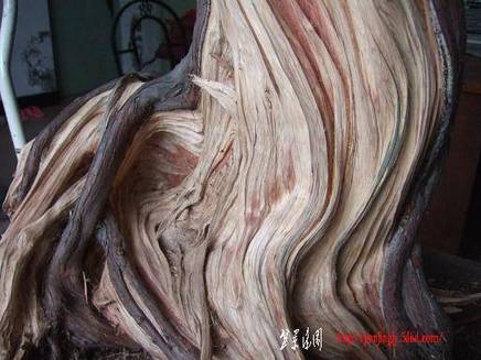 DSCF5625.JPG